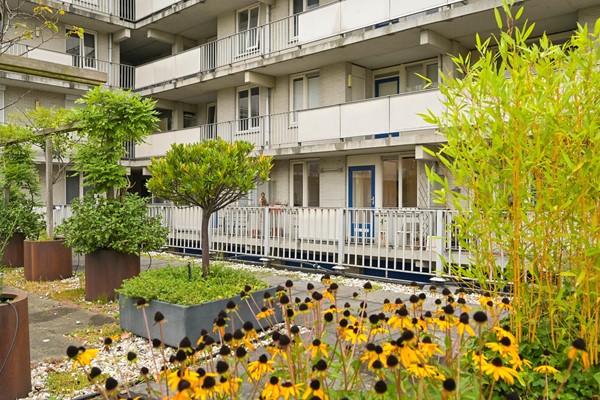 Medium property photo - Noordwal 45, 2513 EB Den Haag